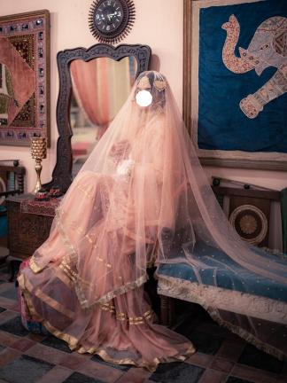 Minimal Peach Bridal Net Dupatta Pakistani Nikkah Wedding Veil US